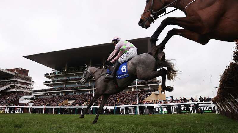 Day One at Cheltenham certainly required an umbrella due to the weather (Image: PA)