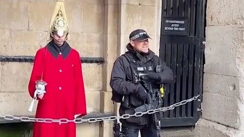 Brit police officer filmed scolding American tourists making fun of Palace guard