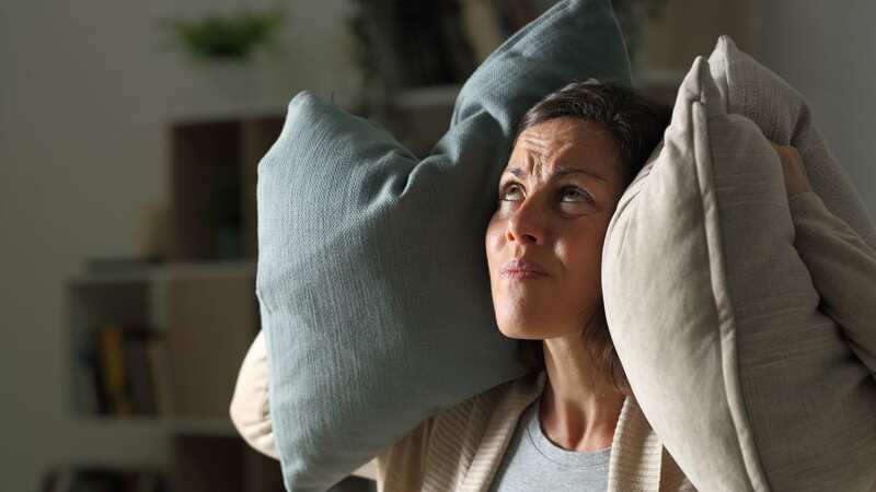 The woman became sick of the constant shouting from her neighbour