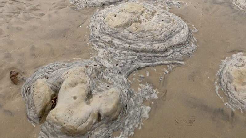 The prints on the beach in Bexhill, East Sussex (Image: Vicky Ballinger/SWNS)