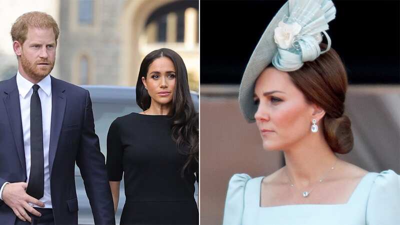Prince Harry and Meghan Markle are thought to be concerned for the Princess of Wales