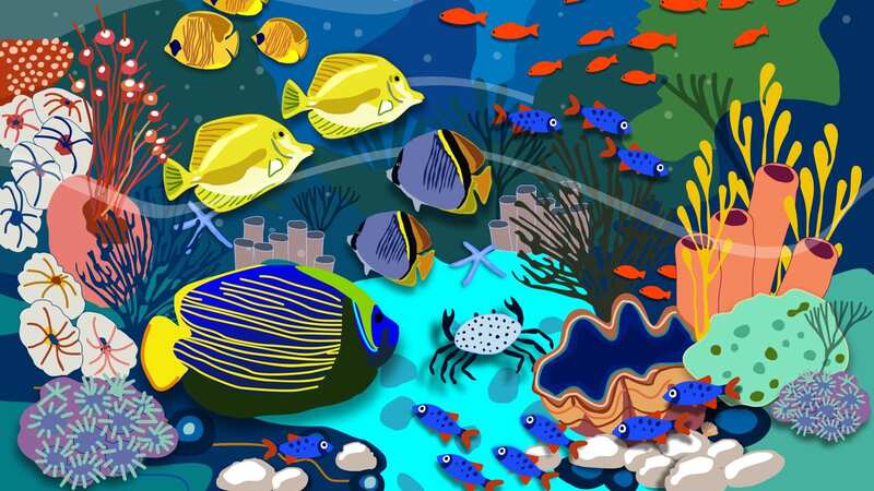 Can you spot the shell? (Full Image Below) (Image: FishInAquarium)