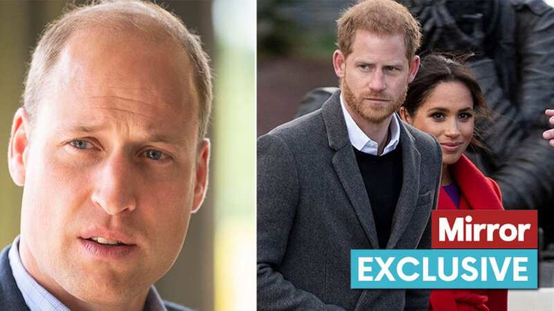 Meghan Markle is pondering Will and Harry