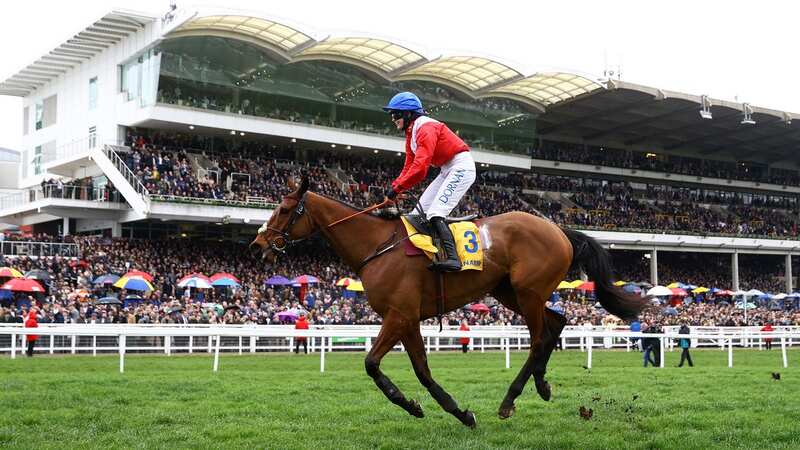 Envoi Allen could become the third horse to claim back-to-back wins in theÂ RyanairÂ Chase (Image: Getty Images)
