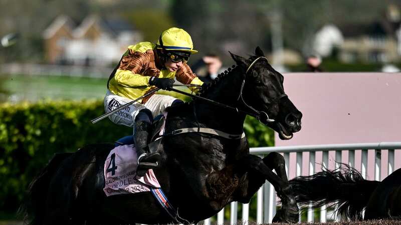 Paul Townend rode Galopin Des Champs to victory (Image: David Fitzgerald/Sportsfile via Getty Images)