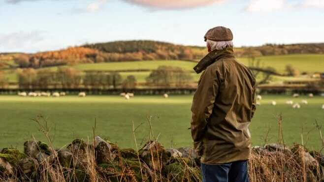 British farmers want basic income to cope with post-Brexit struggles