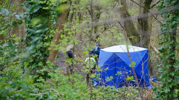 Police expand search in investigation of torso murder