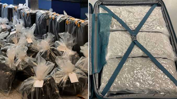 Amount of cannabis seized at UK airports triples in under a year