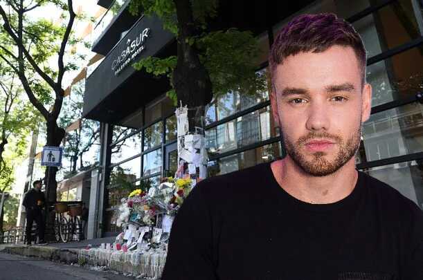Liam Payne toxicology report reveals heartbreaking details about his final struggle