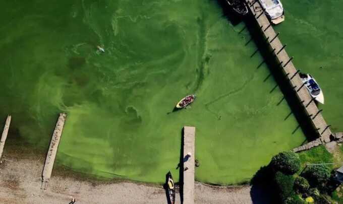 Campaigners say pollution damages the environment, causes harmful algal blooms and even kills fish