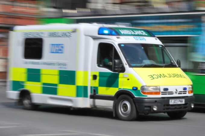 Tree falls on children in Essex park: five hospitalized