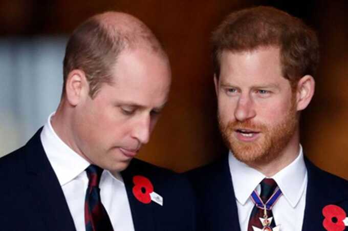 Cousin of Prince William and Prince Harry found dead with shotgun nearby