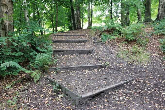 Blackburn with Darwen Council have since felled the tree ( Image: Lancs Live/Jude Tolson)