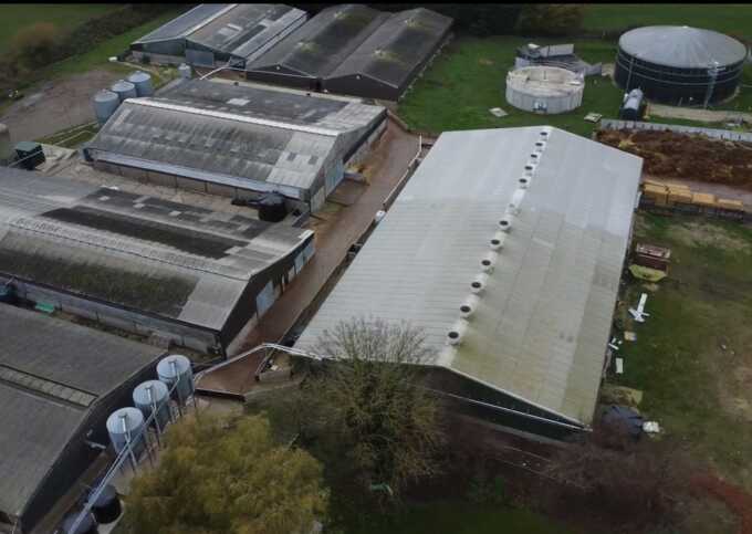 Tesco, Asda and Sainsbury’s suspend supplies from farm after pig cruelty exposed