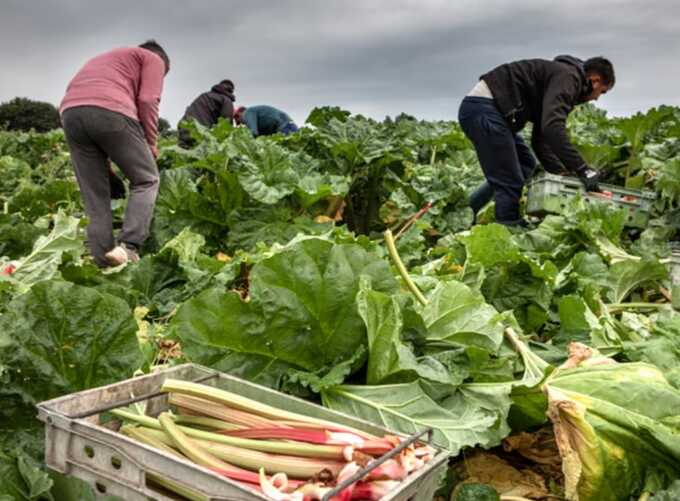 Government pledges new EU deal to cut food export costs by 2027