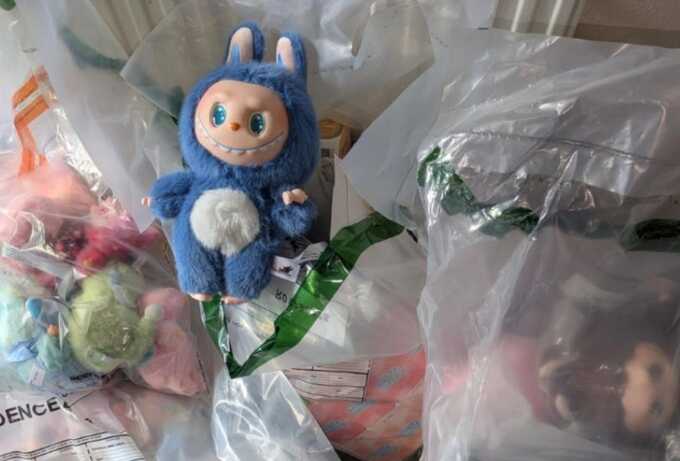 Over 100 fake Labubu dolls seized in Moray over child safety risks