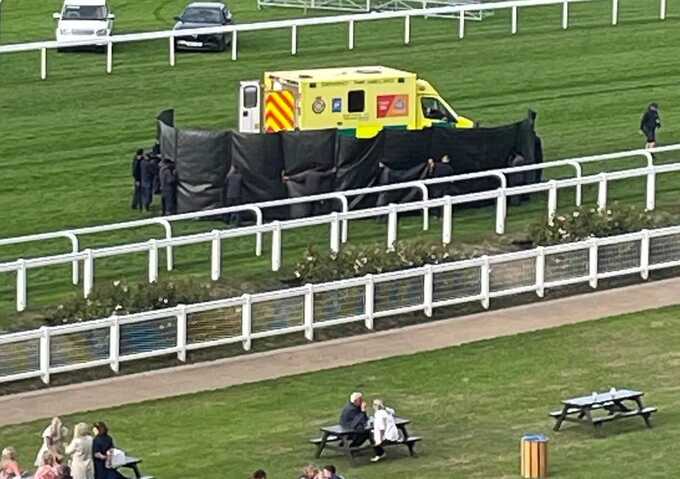 Horse fatally injured, jockey hospitalized after horror fall at ascot