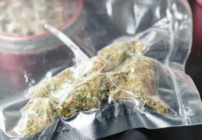 Postal workers foil £3.2m cannabis smuggling scheme