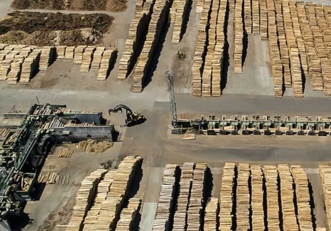 Romanian subsidiary of HS Timber Group investigated for alleged tax evasion