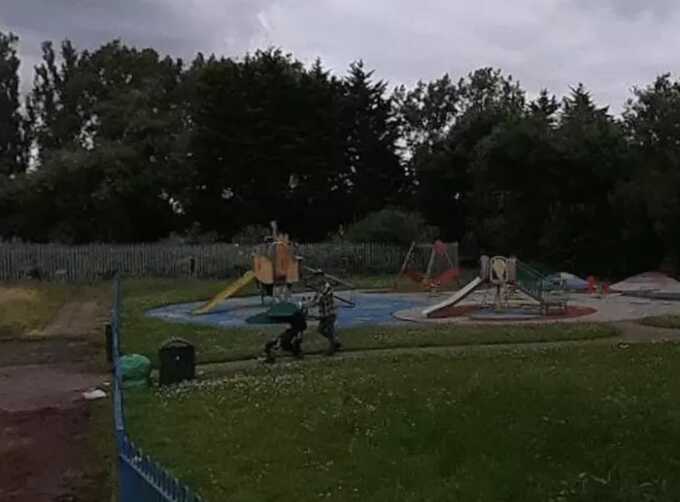 Toddler suffers severe leg injuries after dog attack in Ealing park