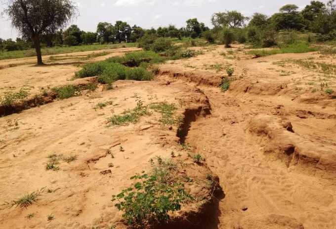 Burkina Faso’s withheld parliamentary report exposes real estate corruption