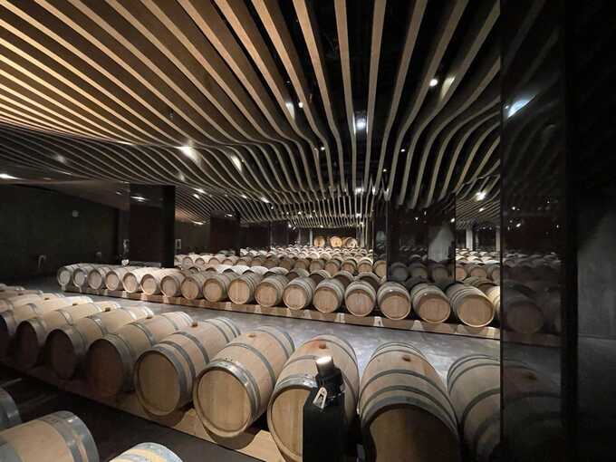 As war drains Russia’s budget, Putin’s luxury wine empire quietly flourishes