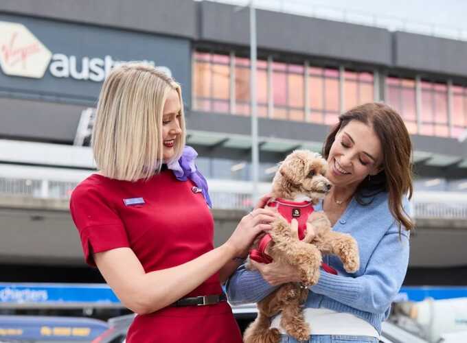 Australian airline permits pets in the cabin for the first time