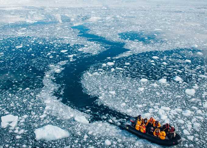 Ukrainian biologist arrested in Crimea accused of undermining Russia’s krill industry