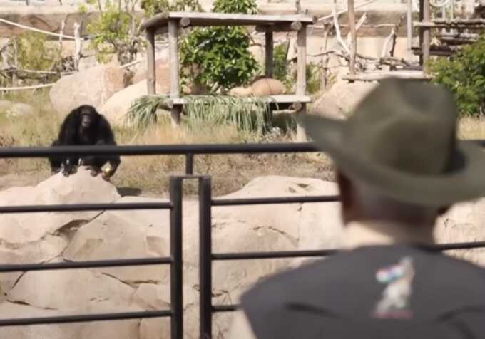 Global wildlife watchdog flags ‘serious oversight failures’ at Anant Ambani’s vast animal refuge