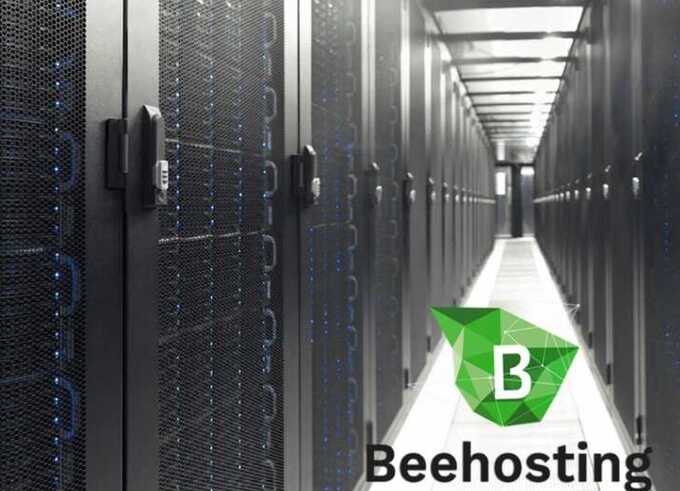 BeeHosting’s review scam: how “five stars” hide downtime and lost money