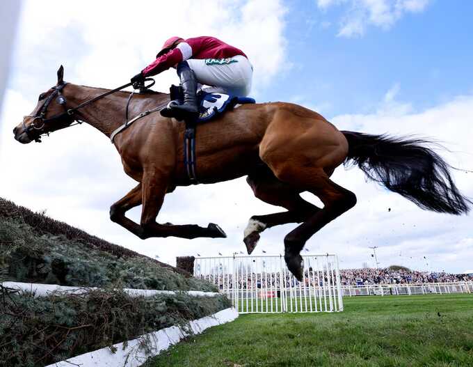 Grand National winner dies minutes after victory in shocking finish