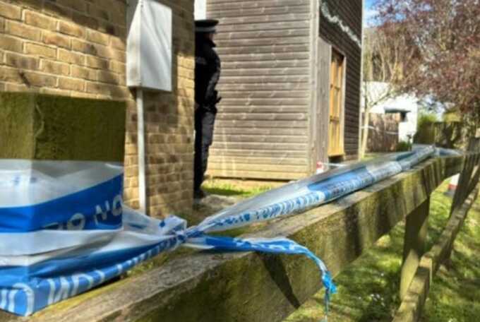 Police detain 37-year-old following fatal dog attack at property in Leaden Roding