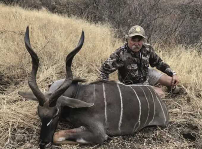 Millionaire hunter trampled to death by elephants during £30,000 safari in Gabon