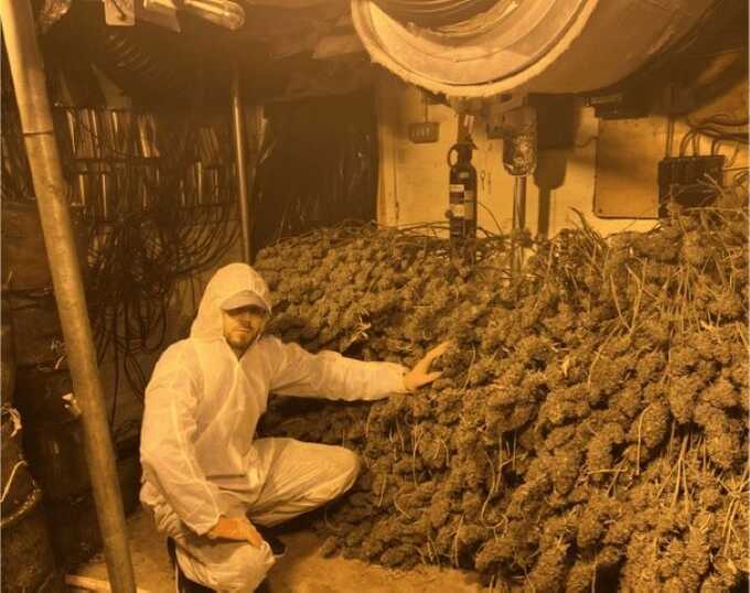 Albanian gang jailed after nearly £1m cannabis farm uncovered in Oldham industrial unit