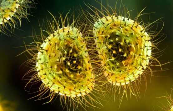 Health officials investigate meningitis cases among young people in Reading