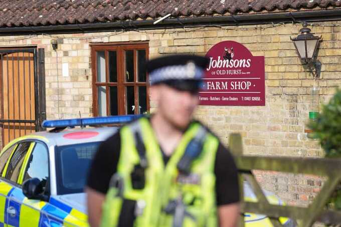 Man bailed after three-year-old boy ends up in crocodile enclosure at zoo