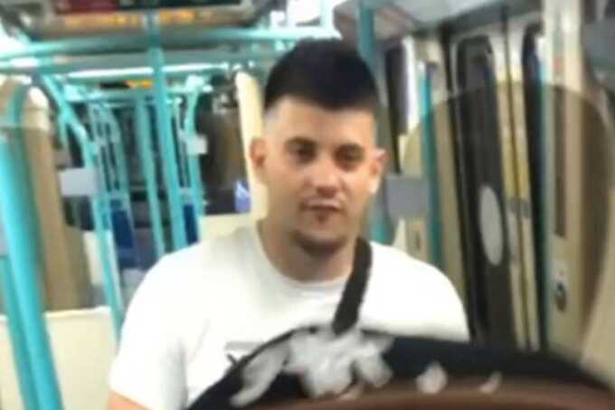 Police hunt suspect after woman allegedly sexually assaulted on London train