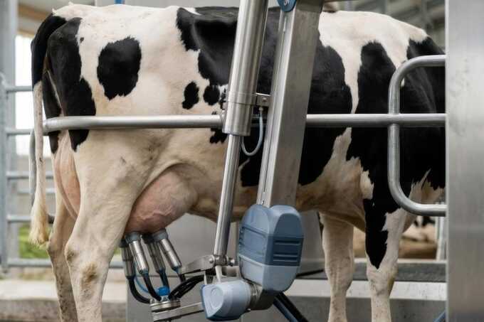 EPPO indicts Latvian farmer over €122,725 robotic milking equipment fraud