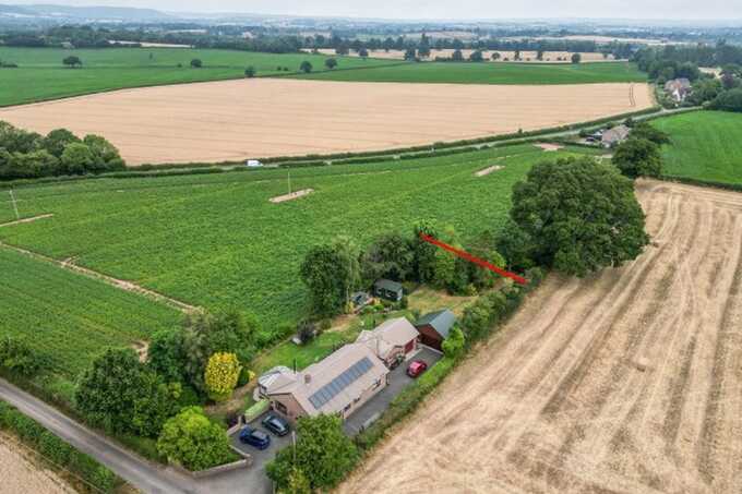 Woman fights £45m Hereford bypass plan threatening ancient oak tree
