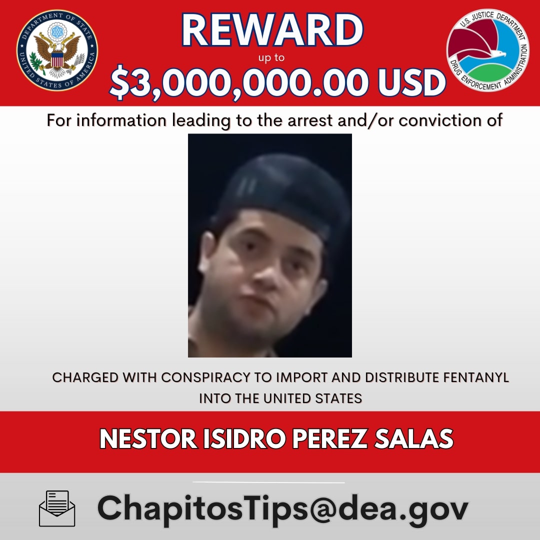 El Nini Reward dqxikeidqkikdinv