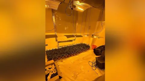 Police seized over 400 cannabis plants from the Reeves&rsquo; property, with an estimated street value of hundreds of thousands of pounds dqxikeidqkikdinv