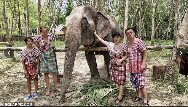 The incident happened on Friday at the&nbsp;Koh Yao sanctuary on the Thai island of Yao Yai. Picture shows tourists posing with an elephant at the elephant care centre where Garcia died