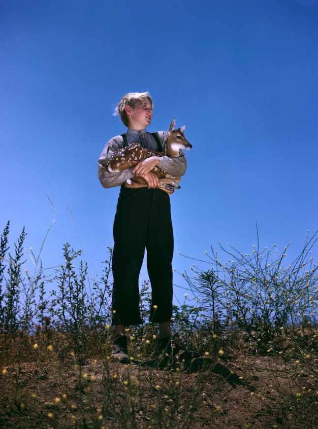 Claude Jarman Jr., Juvenile Oscar Winner for ’The Yearling,’ Dies at 90 dqxikeidqkikdinv