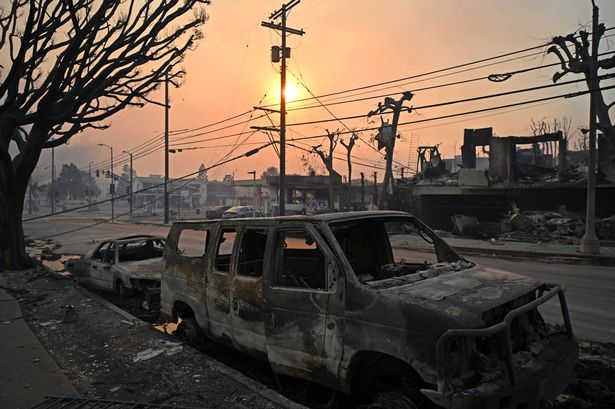 Charred vehicles are seen along a road after the passage of the Palisades Fire dqxikeidqkikdinv