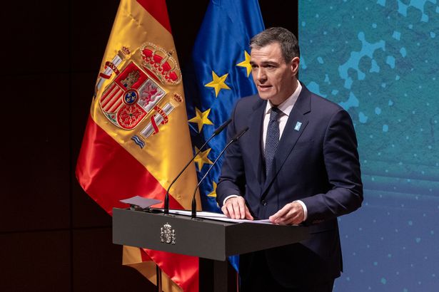 Pedro S&aacute;nchez dqxikeidqkikdinv