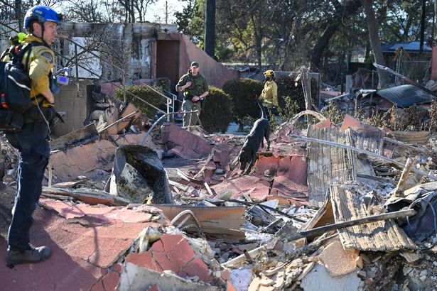 Search and rescue operations continue across the city as people remain unaccounted for dqxikeidqkikdinv