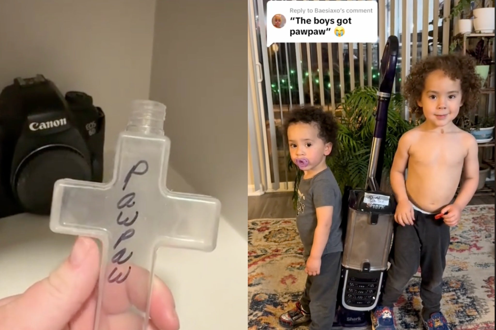 Mother says her sons ‘may have eaten’ some of their grandfather’s ashes dqxikeidqkikdinv