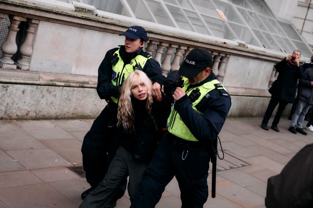Police make an arrest after protesters gather on Whitehall in central London at a National demonstration for Palestine, on January 18, 2025, organized by the Palestine Solidarity Campaign. Following the Metropolitan Police preventing a march from the BBC in London because the route passed a synagogue, protesters supporting  dqxikeidqkikdinv