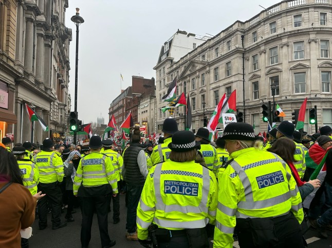 LONDON, UNITED KINGOM - JANUARY 18: Tens of thousands of Palestine supporters demonstrate despite police banning the previously agreed route and imposing severe restrictions on Whitehall Street, where the Prime Minister&rsquo;s Office is located in London, United Kingdom on January 18, 2025. (Photo by Aysu Bicer/Anadolu via Getty Images)