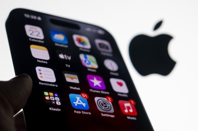 ANKARA, TURKIYE - JANUARY 22: App Store application is displayed as an iPhone is seen in front of the Apple logo in Ankara, Turkiye on January 22, 2024. (Photo by Muhammed Selim Korkutata/Anadolu via Getty Images) dqxikeidqkikdinv